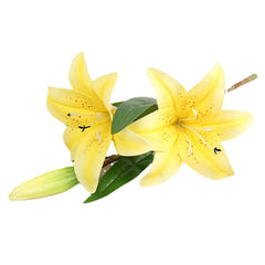 3D Printed Artificial Lily Branch – Realistic White Faux Flowers for Decoration